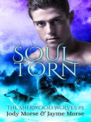 cover image of Soul Torn